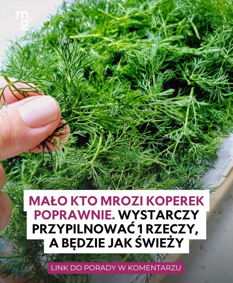 Mało kto mrozi koperek poprawnie. Wystarczy przypilnować 1 rzeczy, a będzie jak świeży