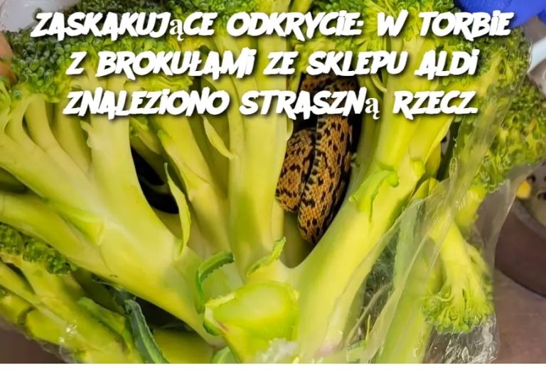Zaskakujące odkrycie: w torbie z brokułami ze sklepu Aldi znaleziono straszną rzecz.