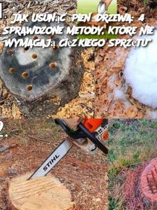 Jak Usunąć Pień Drzewa: 4 Sprawdzone Metody, Które Nie Wymagają Ciężkiego Sprzętu”