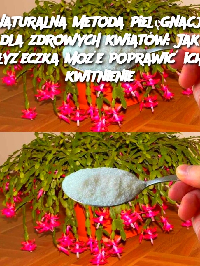 Naturalna metoda pielęgnacji dla zdrowych kwiatów: Jak łyżeczka może poprawić ich kwitnienie