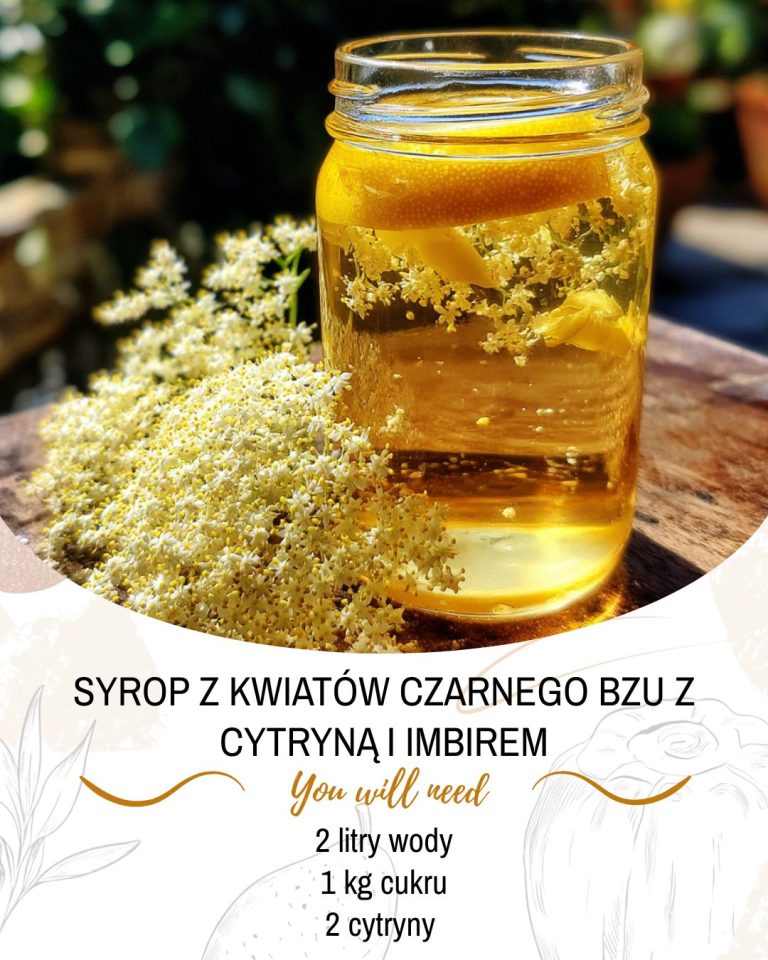Naturalna moc natury: Syrop z kwiatów czarnego bzu z cytryną i imbirem