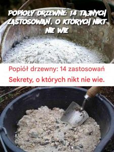 Popioły drzewne: 14 tajnych zastosowań, o których nikt nie wie