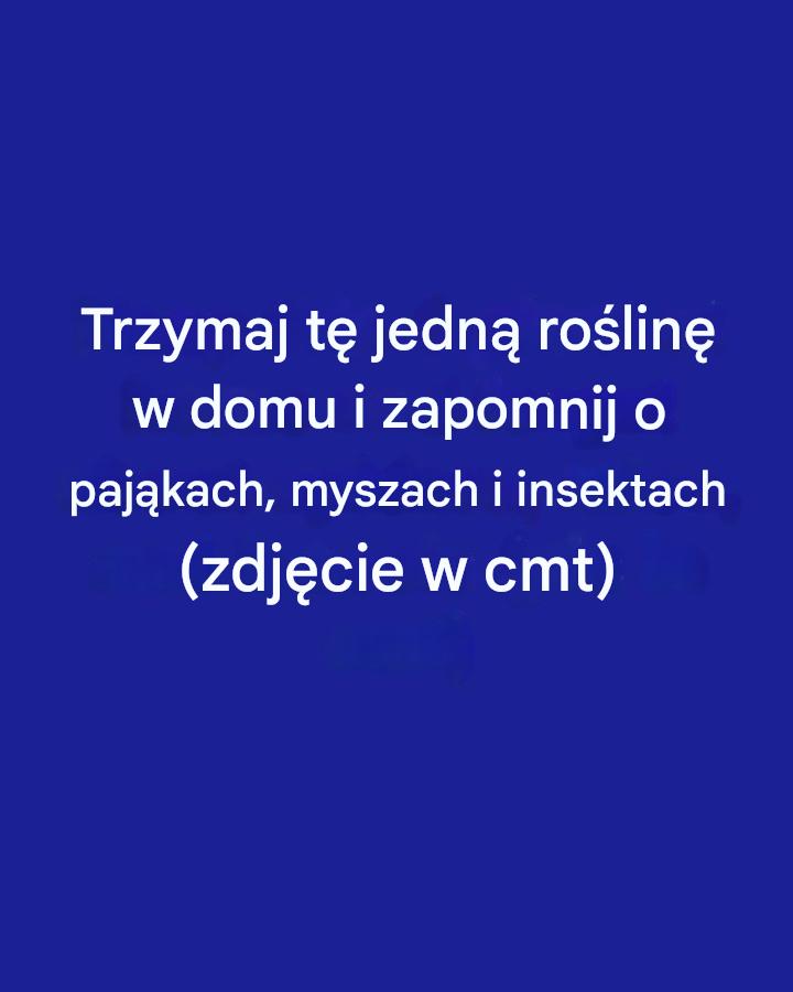 Świetne informacje!