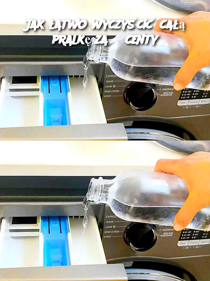 Jak łatwo wyczyścić całą pralkę za 3 centy