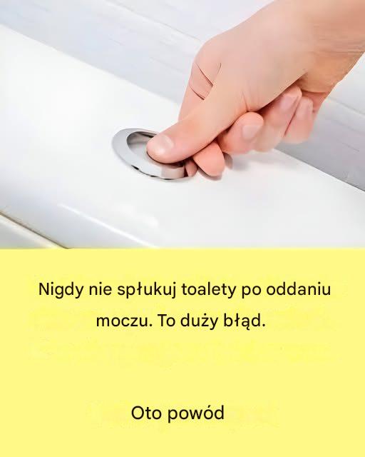 Dlaczego nie zawsze spłukuję wodę w toalecie (i powinieneś o tym pomyśleć)