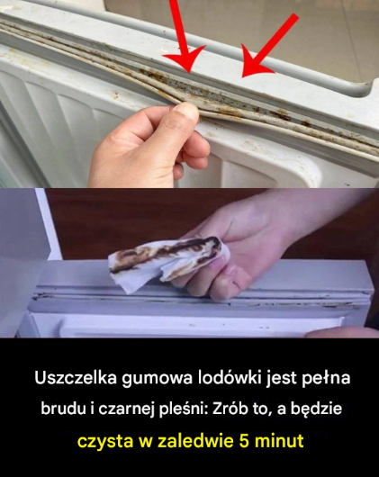 Jak wyczyścić gumową uszczelkę lodówki
