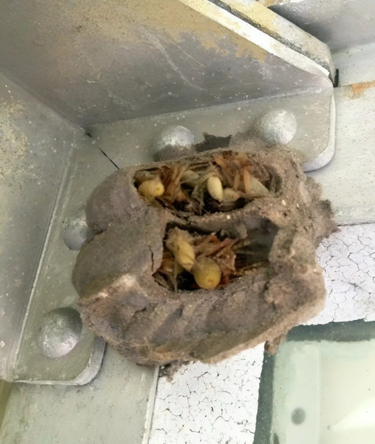 Poszedłem do garażu tylko po to, żeby zabrać starą skrzynkę z narzędziami!