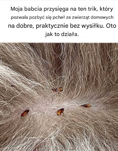 Szkoda, że ​​nie dowiedziałem się tego wiele lat temu