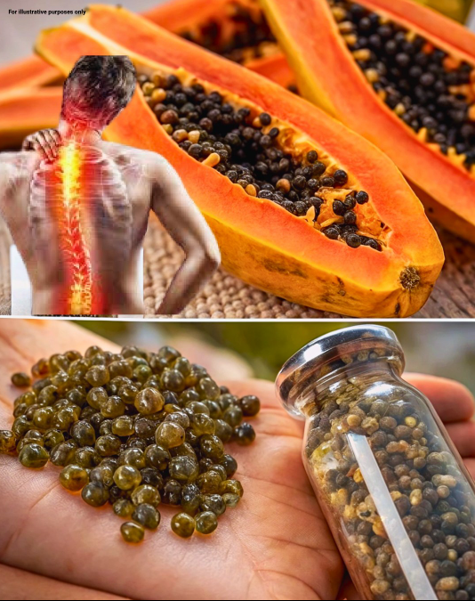Potężne korzyści zdrowotne nasion papai: Dlaczego warto włączyć je do swojej diety