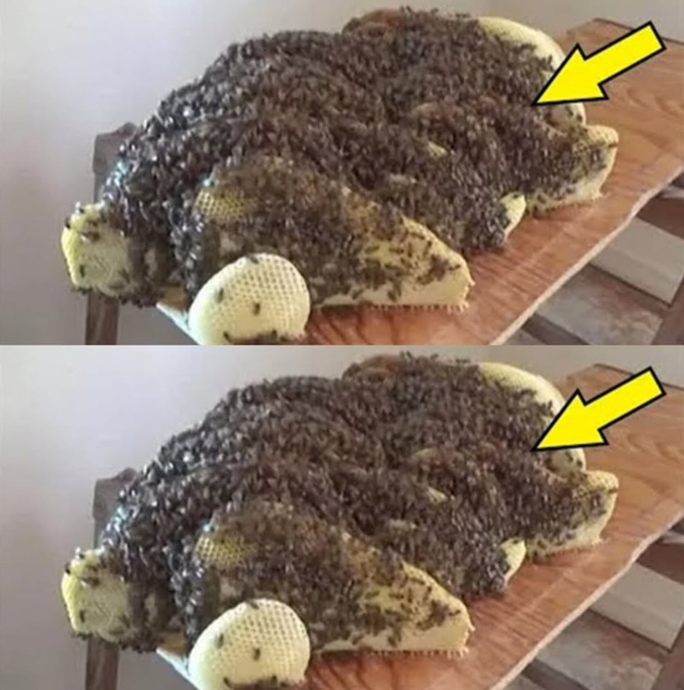 Niespodzianka pod łóżkiem: Nieproszeni goście